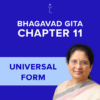 Bhagavad Gita Chapter 11 - Universal Form - Online Audio Commentary - 30-Day Access