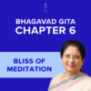 Bhagavad Gita Chapter 6 - Bliss of Meditation - Online Audio Commentary - 30-Day Access